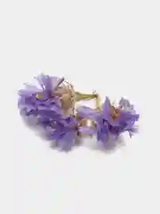 Прозрачный сухоцветы (Статица)