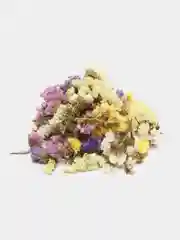 Прозрачный сухоцветы (Статица)