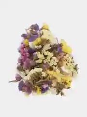 Сухоцветы (Статица)