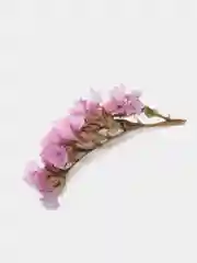 Прозрачный сухоцветы (Статица)