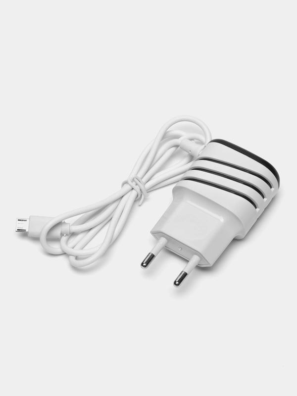 Сетевое зарядное устройство LuazON LCC-24, 2 USB, microUSB, 1 A, 1 м, черно-белое