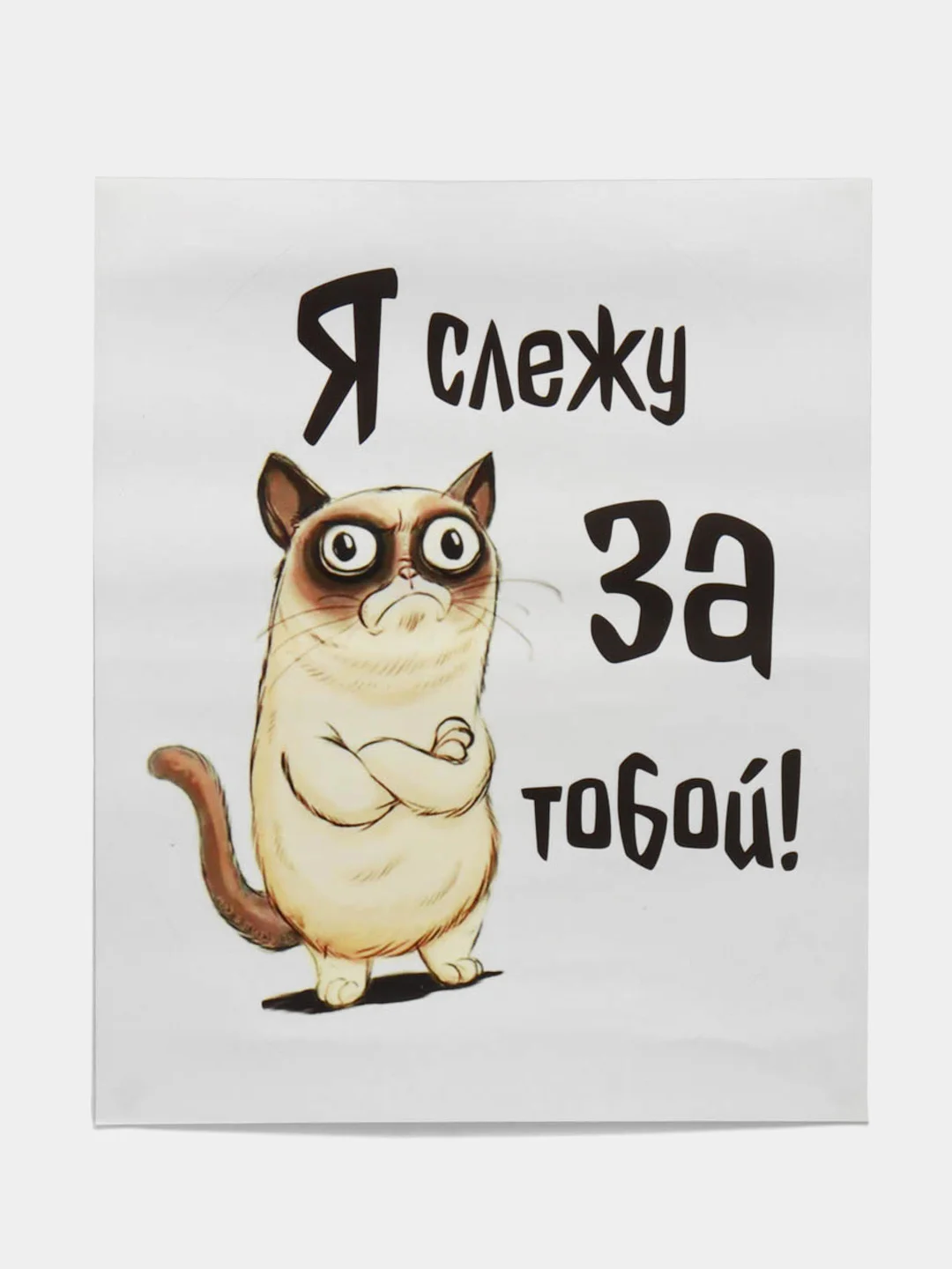 Наклейки интерьерные "Коты" на бачок унитаза, холодильник