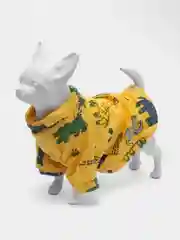 Светло-оранжевый толстовка для собак и кошек