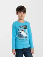Бирюзовый лонгслив, толстовка, для мальчика утепленный, 4-8 лет, 100% хлопок