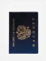 Обложка для паспорта, горизонтальная, цвет синий