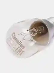 Лампа накаливания для духовки Camelion MIC, +300, E14, 15W, 220V, 80 Лм, прозрачная