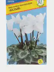 Семена цветов "Цикламен Белый"