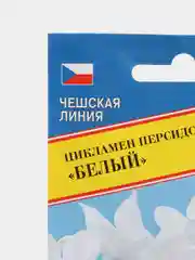 Семена цветов "Цикламен Белый"