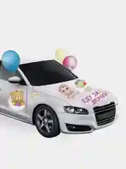 Набор магнитов на авто "Еду за дочей", на выписку, 29,7 х 42 см
