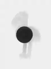 Бирюзовый джиббитсы