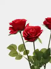 Красный искусственные цветы "Роза", 3 штуки