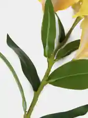 Белый искусственные цветы "Лилия"