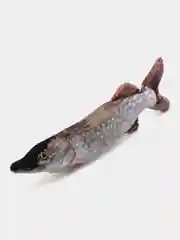 Приглушённый хаки интерьерная подушка Рыба (карп, плотва, окунь, щука)