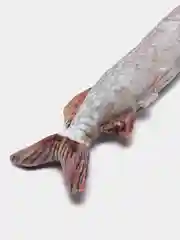 Приглушённый хаки интерьерная подушка Рыба (карп, плотва, окунь, щука)