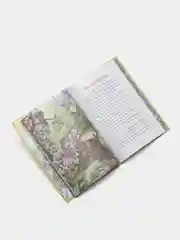 Анна Гончарова: Еня и Еля. Первые истории