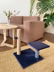 Синий игровой комплекс для кошек с лежанкой и игрушкой, 40 х 40 х 50 см