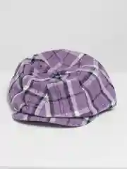 Аметистовый мужская кепка,  в клетку