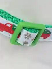 Салатовый ошейник с колокольчиком, для собак и кошек