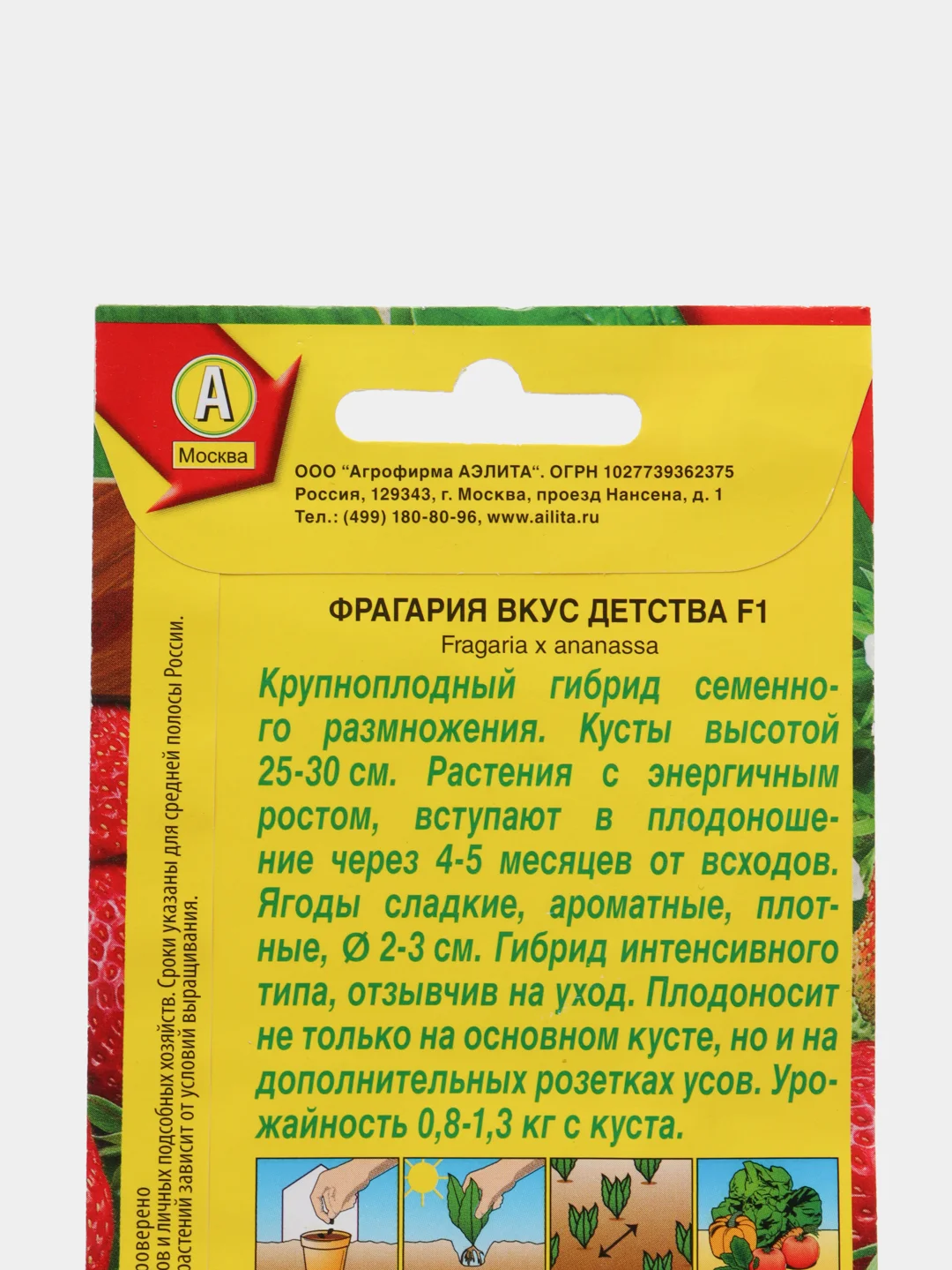 Семена Земляника "Вкус детства", Аэлита