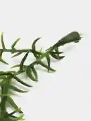Зелёный хаки цветы искусственные, зелень