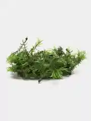 Зелёный хаки цветы искусственные, зелень