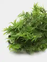 Зелёный хаки цветы искусственные, зелень
