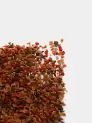 Корм для всех видов рыб Granules