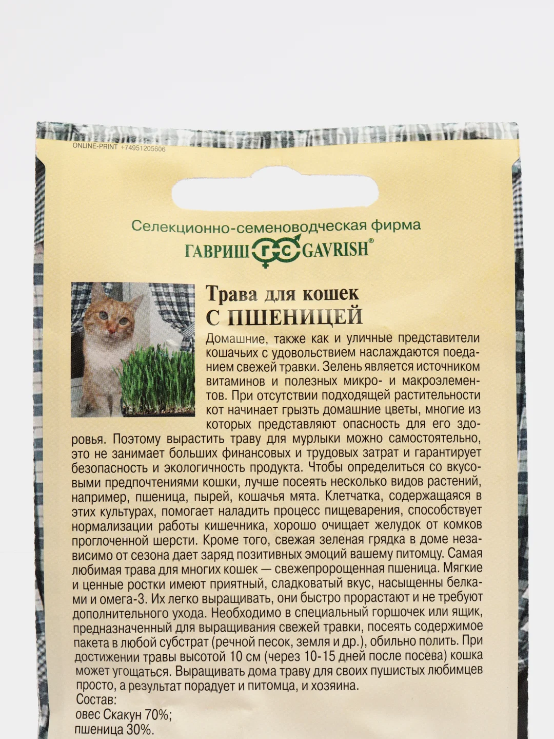 Трава для кошек с пшеницей