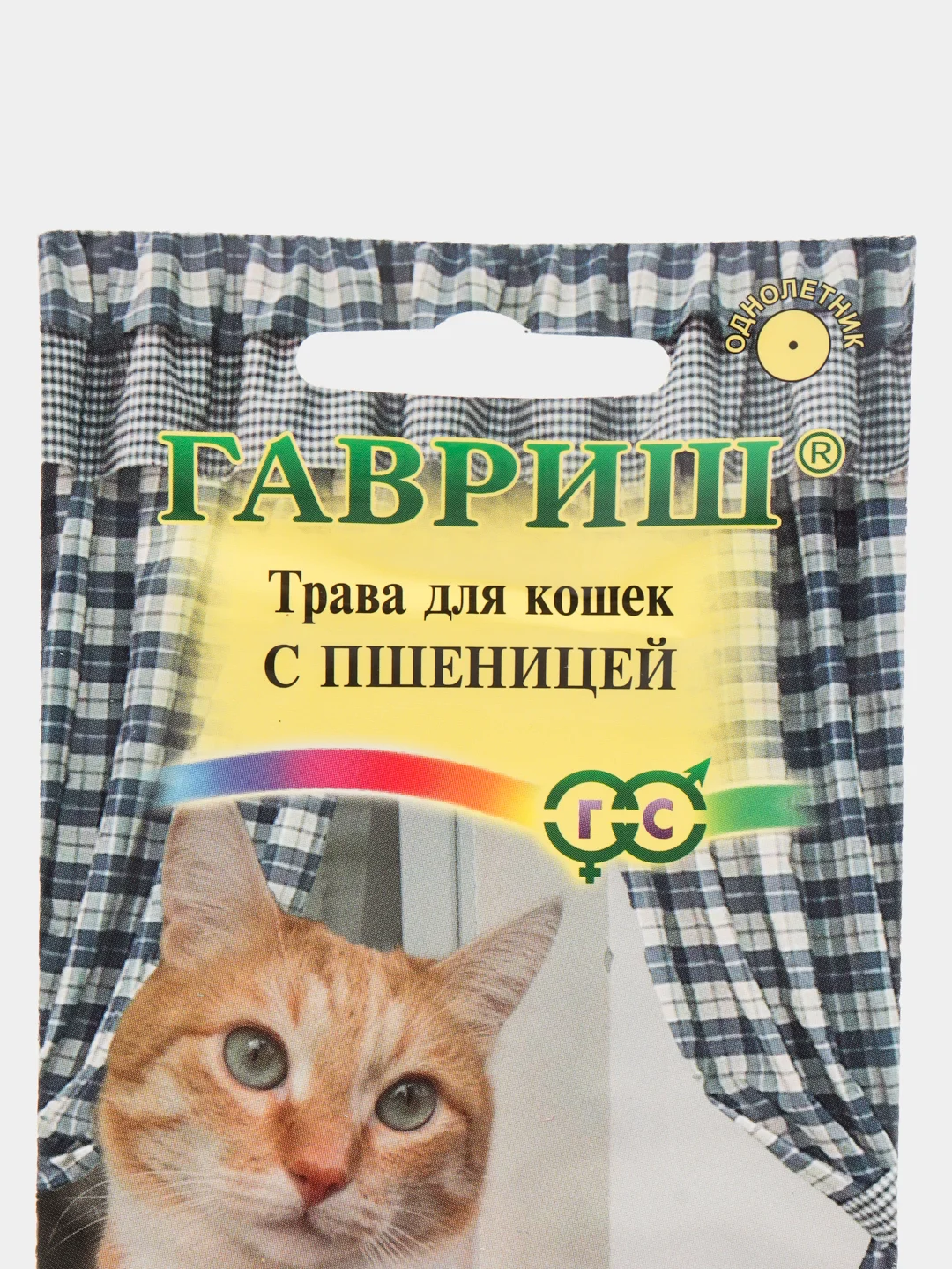Трава для кошек с пшеницей