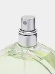 Туалетная вода женская Charme Fortuna, 100 мл