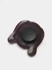 Рыжий джиббитсы