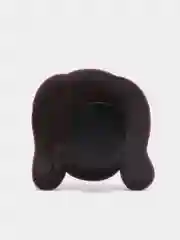 Рыжий джиббитсы
