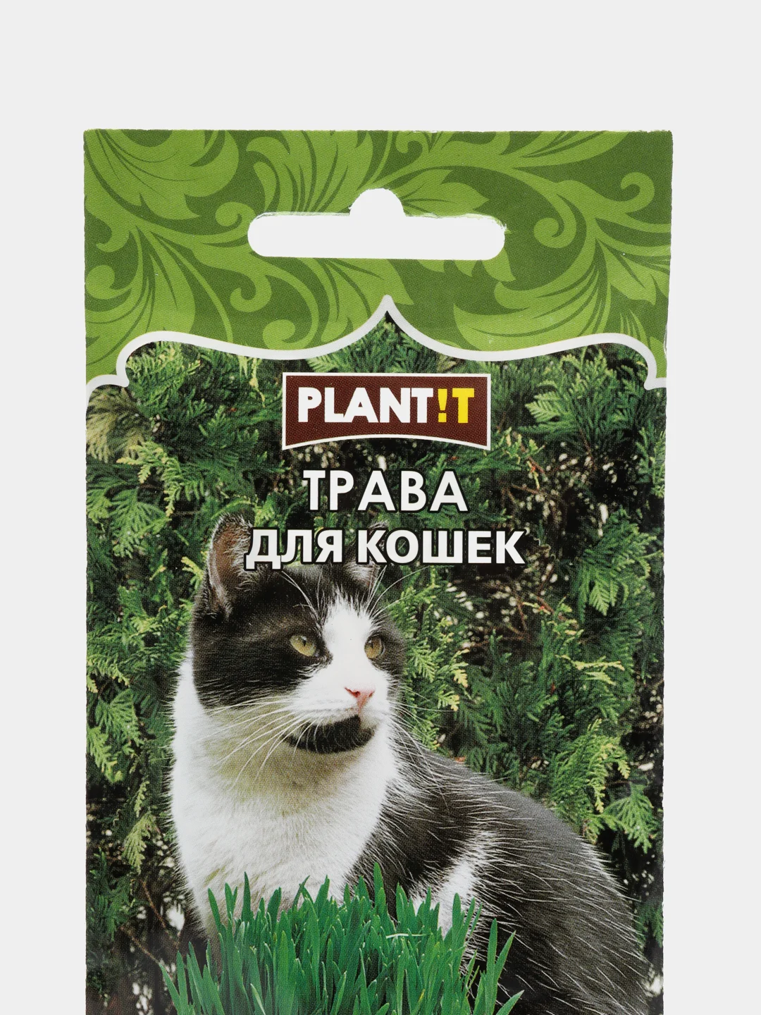 Набор семян "Трава для кошек"