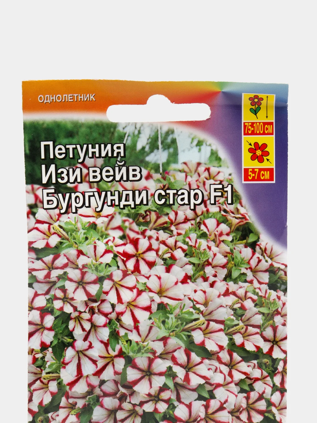 Семена Петуния "Изи вейв бургунди стар F1", Аэлита