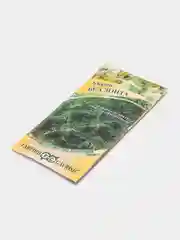 Семена Укроп "Без зонта", 2,0 г