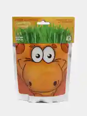 Оранжевый набор для выращивания растений Happy Plant "Юный садовод. Набор биолога Сафари"