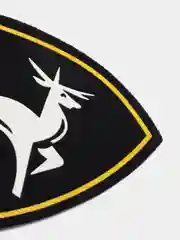 Хром нарукавный знак регионального командования. Шеврон армейский "Внутренние Войска"