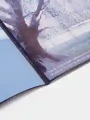 Синий альбомы с наклейками "Холодное сердце"