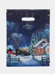 Пакет полиэтиленовый с вырубной ручкой, 30*40 см, 3 штуки