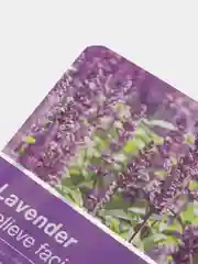 Фиолетовый тканевая маска для лица BIOAQUA, 8 видов