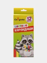 Карандаши цветные заточенные, 12 цветов, в картонной коробке