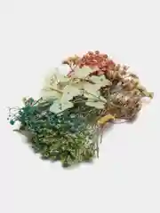 Сухоцветы для свечей