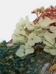 Сухоцветы для свечей