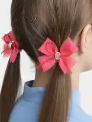 Коралловый бантики для волос на резинке, 2 штуки