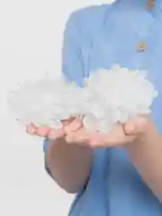 Белый праздничные бантики для школы на каждый день