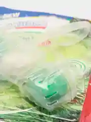 Лайм освежитель унитаза подвесной-блистер WC ColorFresh "Свежинка"