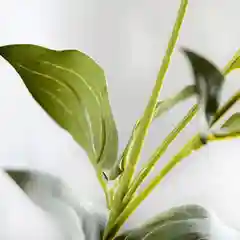 Белый искусственные цветы Эустома, растения, букет, зелень, декор, в горшке, декоративная, 1 шт