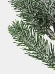 Искусственные цветы, ветка ели со снегом, большая.