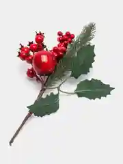 Искусственные цветы, ветка ели, еловая ветка.