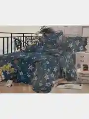 Лазурный комплект постельного белья Евро Хлопок 2 размера  70 х 70 и  50 х 70 / 2 спальныйС